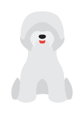 Sevimli genç kaniş Yorkshire Terrier vektör beyaz izole.