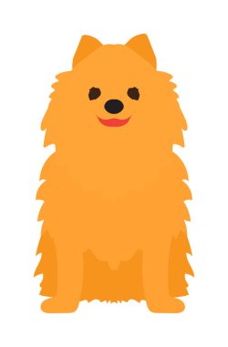 Sevimli genç tur-köpek Yorkshire Terrier vektör beyaz izole.