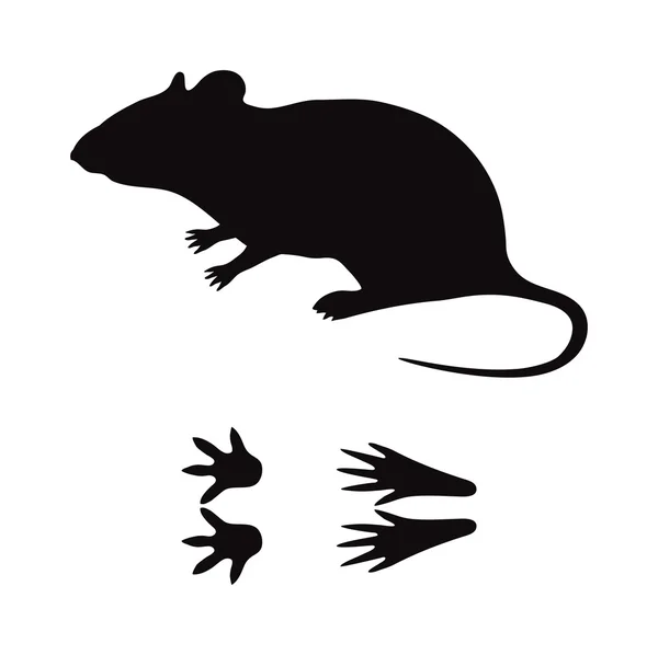 Schwarze Silhouette Ratte Maus Wildtier Zoo Vektor. — Stockvektor