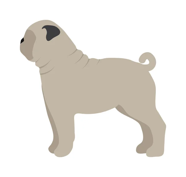 Perro plano mascota y sentado lindo vector — Archivo Imágenes Vectoriales