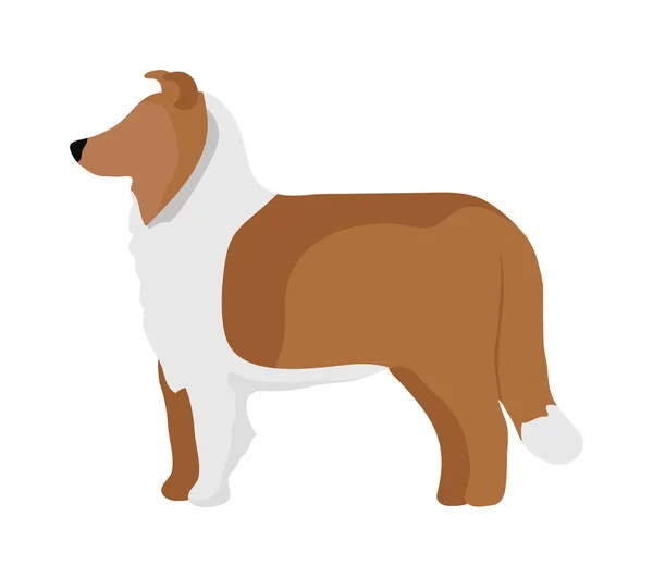 Animal de estimação cão plana e sentado vetor bonito — Vetor de Stock