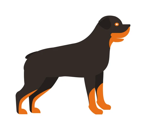 Enojado perro plano mascota y perro vector . — Vector de stock