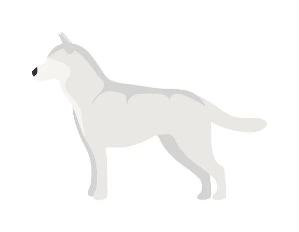 Perro plano mascota y sentado lindo vector — Vector de stock