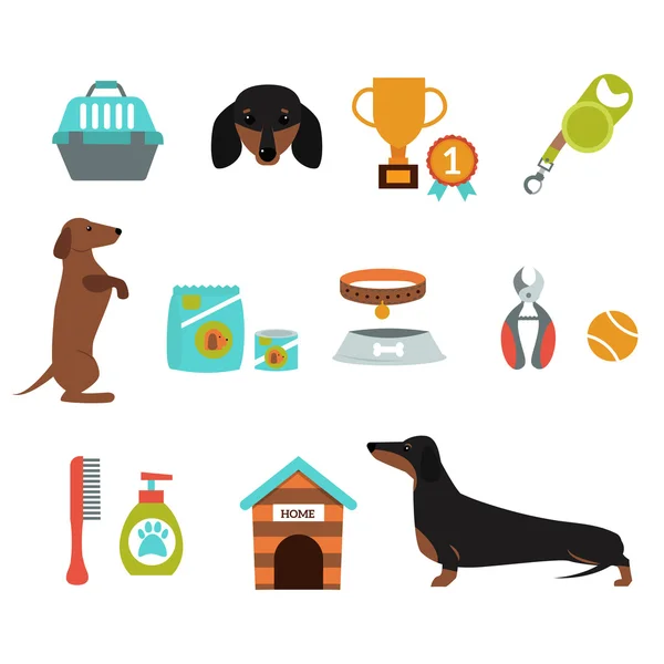 Dachshund cane giocare infografica vettoriale presentazione simboli set . — Vettoriale Stock