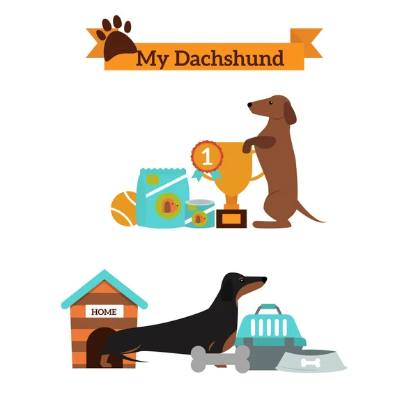 Dachshund 개 재생 인포 그래픽 벡터 프리젠 테이션 기호 세트. — 스톡 벡터