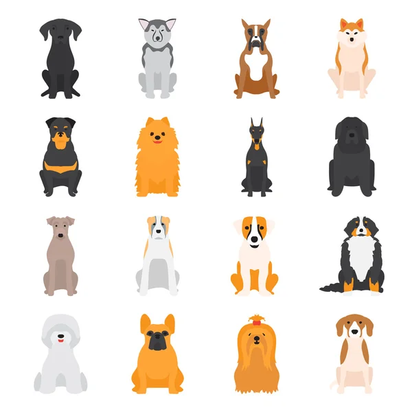 Vector illustration of different dogs breed isolated on white background. — Stock Vector