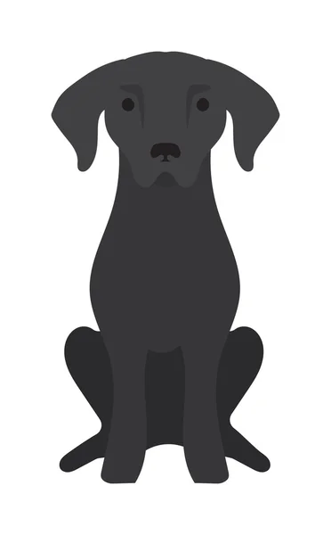 Svart Labrador Retriever hund tamdjur vektor illustration. — Stock vektor