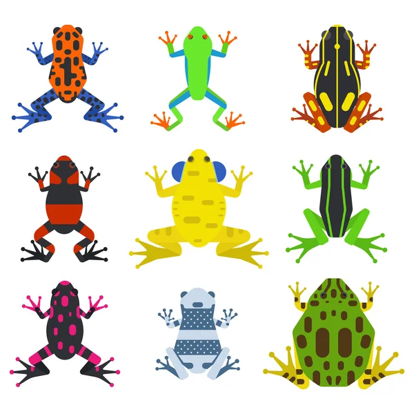 Dibujos animados de ranas animales tropicales e iconos de la naturaleza verde — Vector de stock