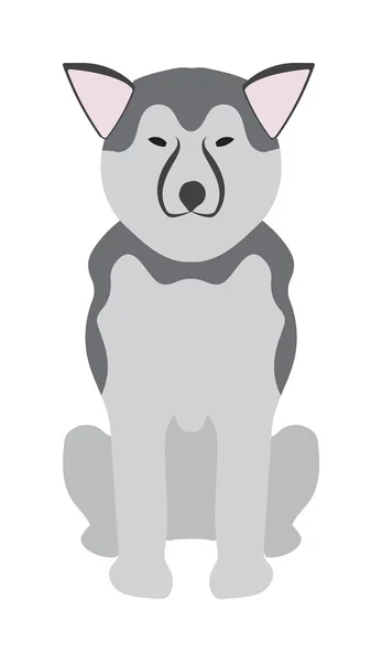 Schäferhund Retriever Hund Haustier Vektor Illustration. — Stockvektor