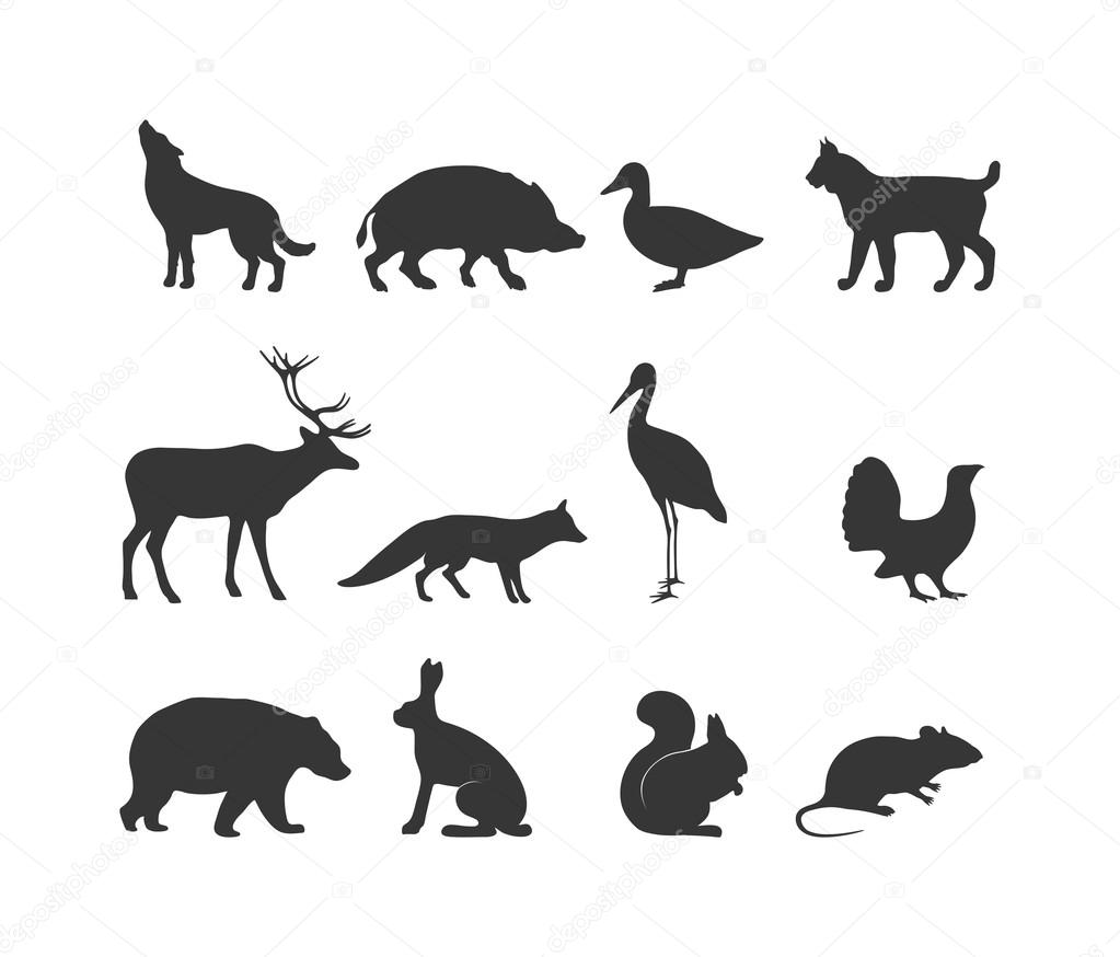 Wild animals black silhouette and wild animal symbols Stock Vector Image by ©adekvat #104251078 Wild animals black silhouette and wild animal symbols Stock Vector Image by ©adekvat #104251078