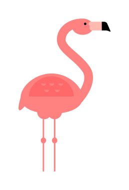 Serin pembe dekoratif düz güzel ve güzellik flamingo egzotik hayvanat bahçesi hayvan vektör illüstrasyon.