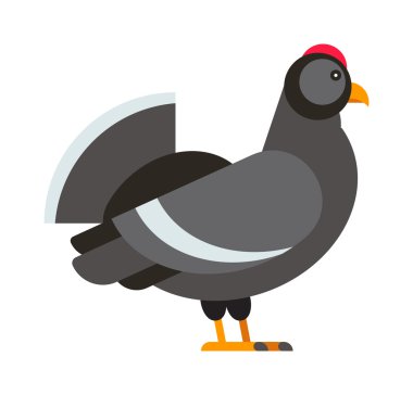 Wild pheasant pheasant, red-legged partridge nature striped bird animal fauna cock flat vector.