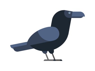 Geniş kanatlı siyah gaga lı leş karga kuzgunu doğa tüyü yabani karanlık kuş vektörü.