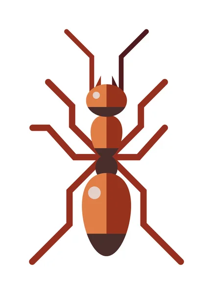 Hormiga roja bosque rufa pequeña antena insecto, naturaleza dibujos animados gráfico marrón trabajador plana vector . — Archivo Imágenes Vectoriales