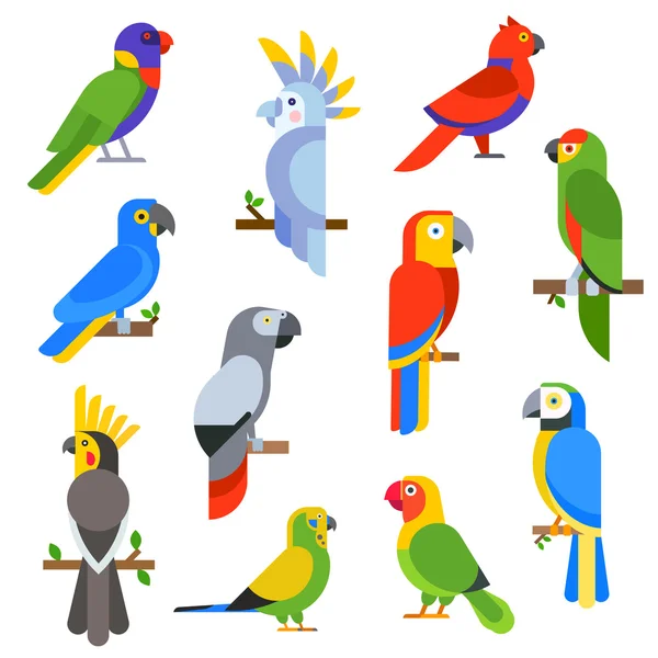 Cartoon perroquets ensemble et perroquets animaux sauvages illustration vectorielle oiseaux — Image vectorielle