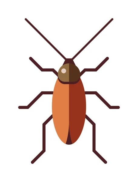 Cockroach dirty broun pest and disgusting roach crawling bug cartoon flat vector. — Stock Vector