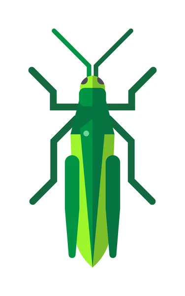 Cute grasshopper cartoon agricultural zoo large green locust nature insect flat vector. — Stock Vector