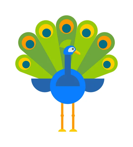 Mooie Peacock kleurrijke blauwe mooie natuur vogel en Wildlife heldere tropische peafuil platte vector. — Stockvector