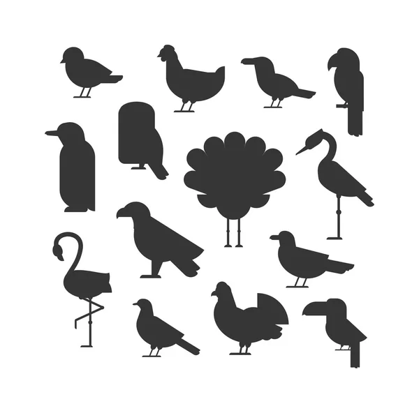 Vector Collection de silhouettes animalières d'oiseaux noirs nature . — Image vectorielle