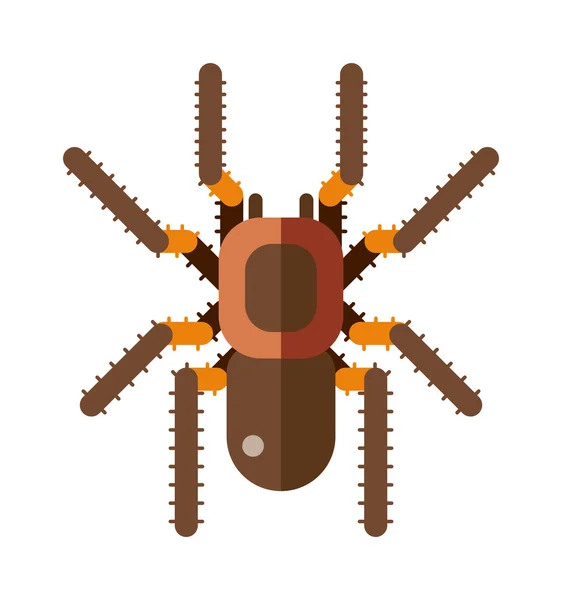 Düz örümcek böcek tehlike siluet vektör simgesi illüstrasyon — Stok Vektör