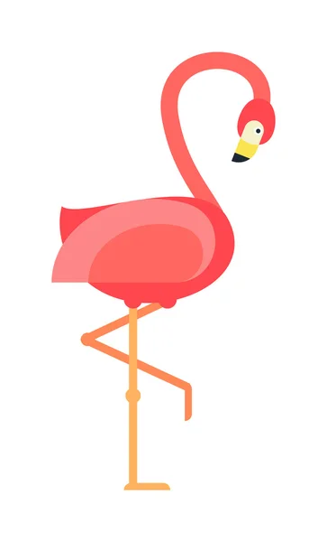 Fresco rosa decorativo plano encantador y belleza flamencos zoológico exótico animal vector ilustración . — Vector de stock