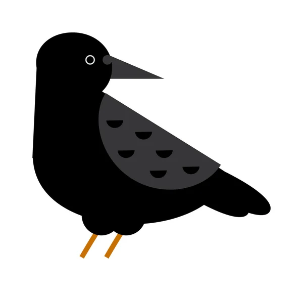 Carrion corvo corvo com asas de ampla propagação bico preto natureza pena selvagem pássaro escuro vetor . — Vetor de Stock