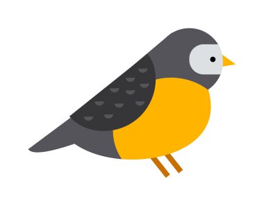 Şakrak kuşu renkli doğa kış kuş pyrrhula tatil vahşi hayvan vektör.