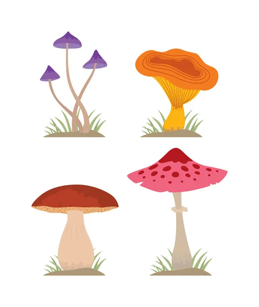Cogumelos vetor ilustração definir diferentes tipos isolados sobre fundo branco —  Vetores de Stock