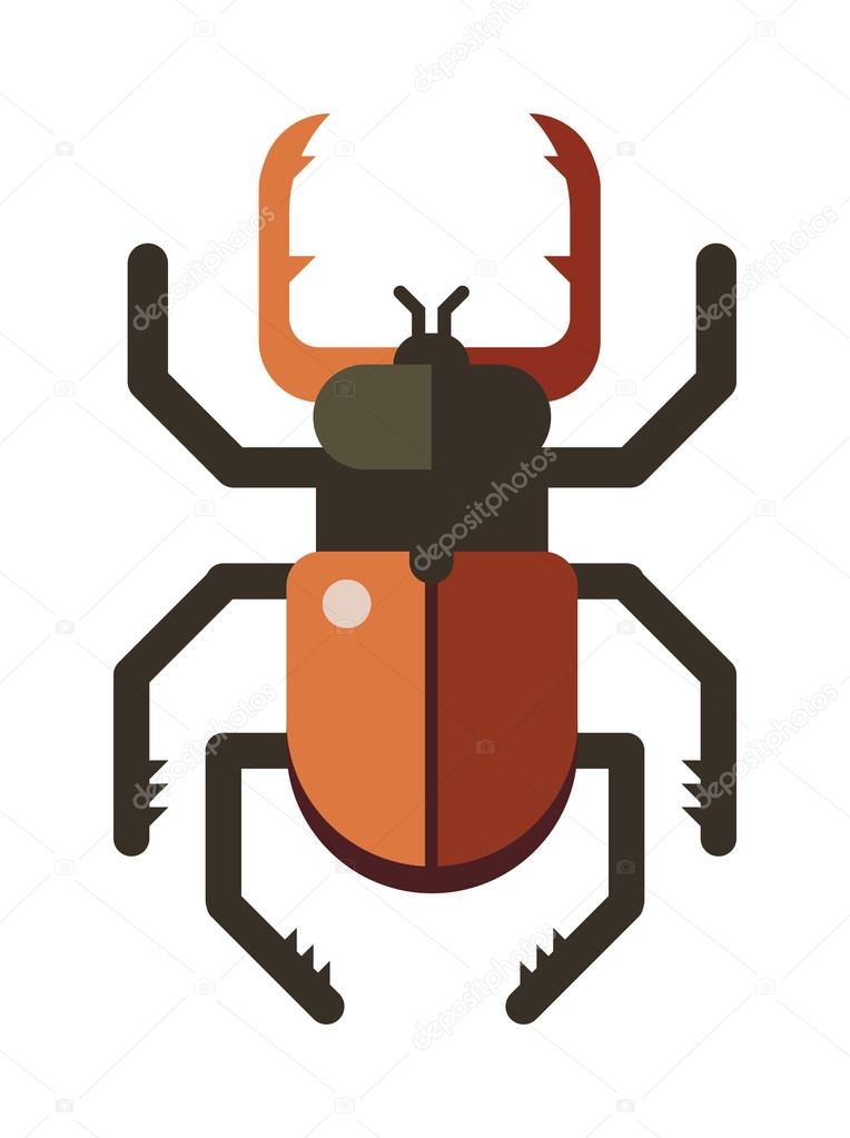 Colorful insects vector stag beetle. Insects biology natural isolated on white background. Insects isolated illustration. Insects vector icon. Fly insects micro view vector. Stag beetle bug insect