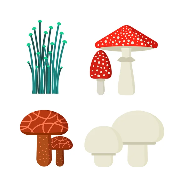 蘑菇矢量插图设置在白色背景上隔离的不同类型 — 图库矢量图片