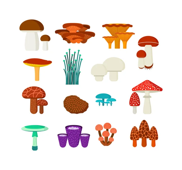 Mantar vektör illüstrasyon beyaz arka plan üzerinde izole farklı türleri ayarlayın