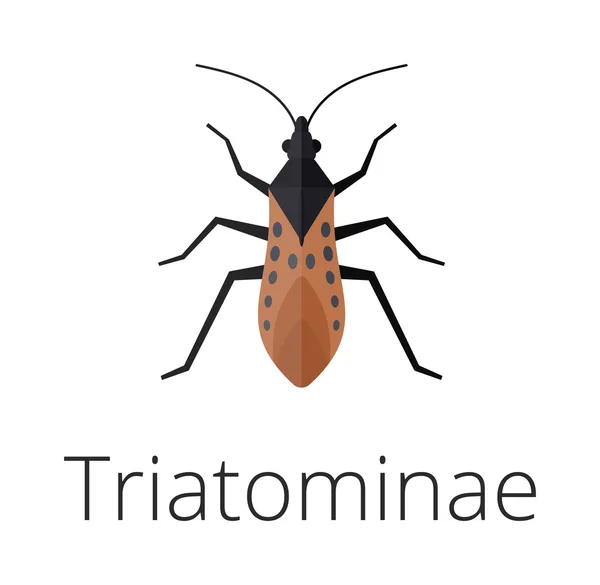 Triatominae skin parasite insect bug . — Stock Vector
