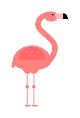Serin pembe dekoratif düz güzel ve güzellik flamingo egzotik hayvanat bahçesi hayvan vektör illüstrasyon.