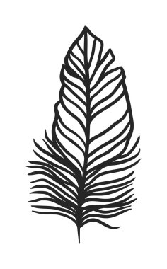 Rustik dekoratif siyah tüy doodle vintage sanat grafik vektör.