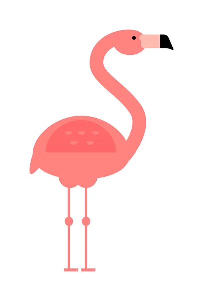 Cool rosa dekorativa platt härlig och skönhet Flamingo exotiska Zoo djur vektor illustration. — Stock vektor