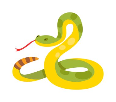 Altın piton reticulated albino boa yılanı yaban hayatı doğa yılan vektör illüstrasyon.