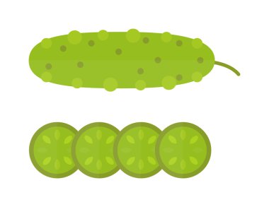 Taze yeşil salatalık modern düz vektör tarzında dilimlenmiş pişirme illüstrasyon kesilmiş.