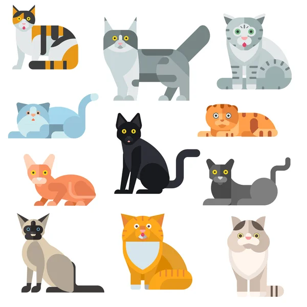 Gatto razze poster carino animale domestico set vettoriale illustrazione . — Vettoriale Stock