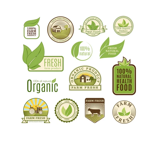 Eco insignia alimento orgánico vector ilustración . — Archivo Imágenes Vectoriales