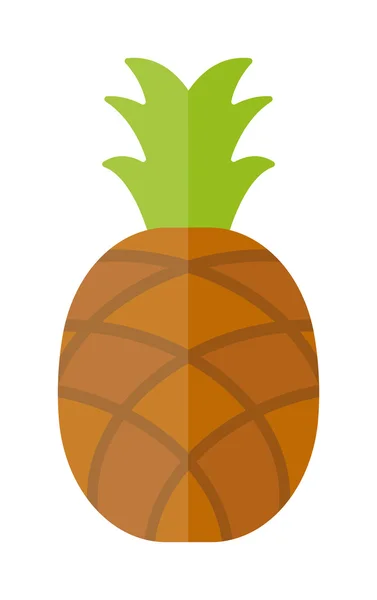 Piña aislado frutas tropicales saludables, dulces jugosas ananas sabroso delicioso vector . — Archivo Imágenes Vectoriales