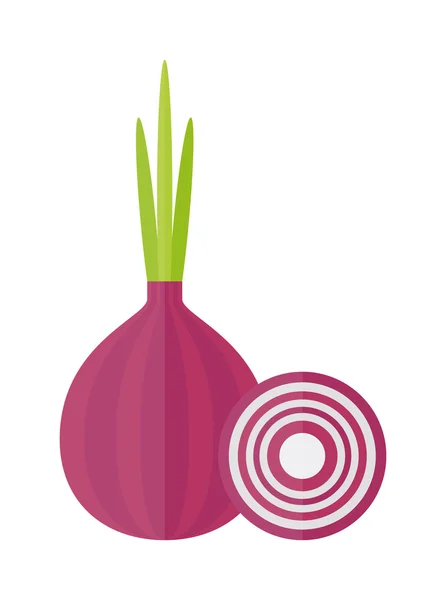 Whole bulb red onion with fresh green sprout, half rings isolated on white background. Vector illustration. — Διανυσματικό Αρχείο