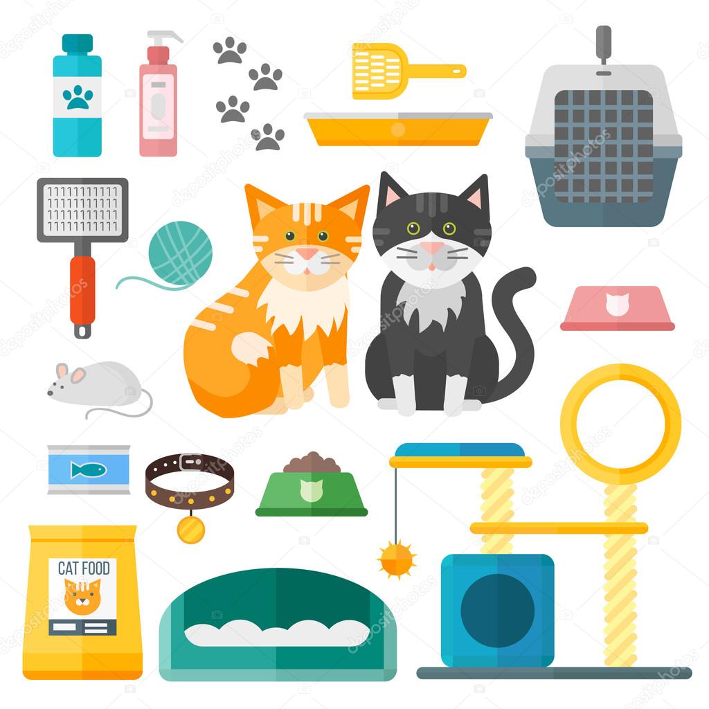 Accessoires de toilettage pour chat