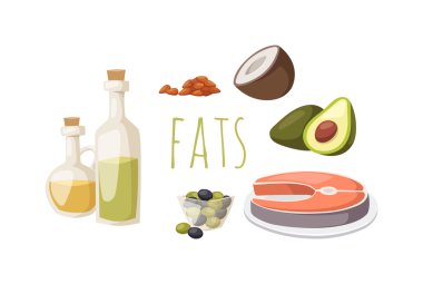 Gıda yağları beyaz avokado, fındık ve balık eti vektör izole protein yüksek.
