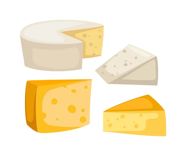Rebanadas de queso aislado vector — Archivo Imágenes Vectoriales