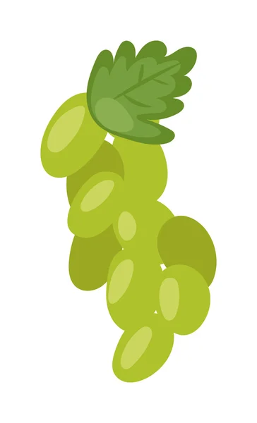 Yeşil üzüm demet beyaz vektör izole — Stok Vektör