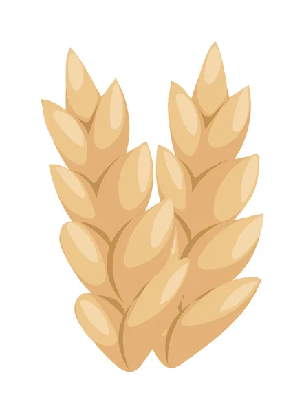 Ícone do vetor de orelha de trigo . —  Vetores de Stock