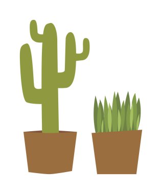 House plants vector illustration.