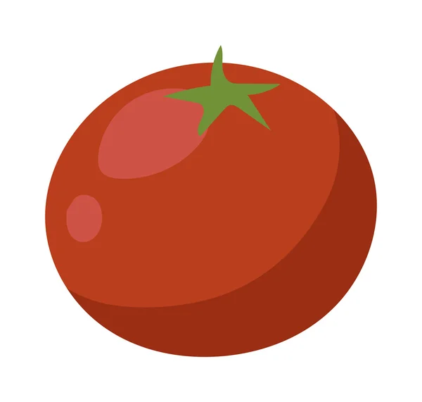 Tomato isolated vector illustration. — 图库矢量图片