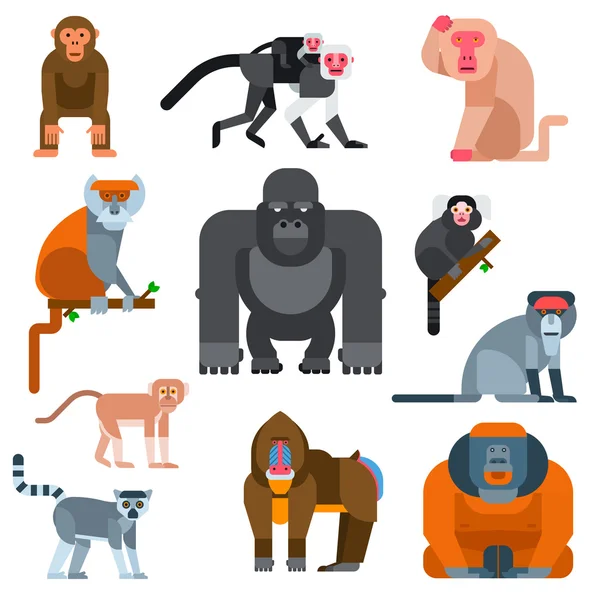 Illustration vectorielle du singe — Image vectorielle