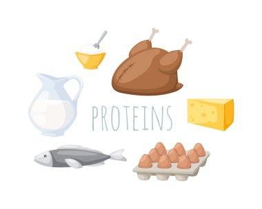 Proteinler gıda vektör illüstrasyon.